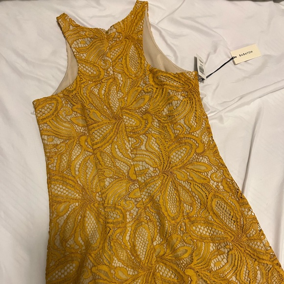 NWT - Babaton Henry Dress (Sz 0) - Picture 4 of 6